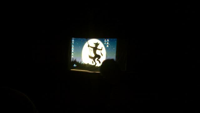 20110730_051