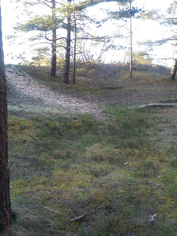 DSC00007