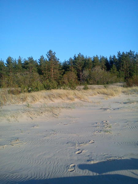 DSC00013
