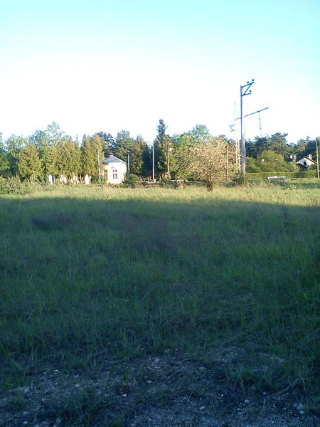 DSC00019