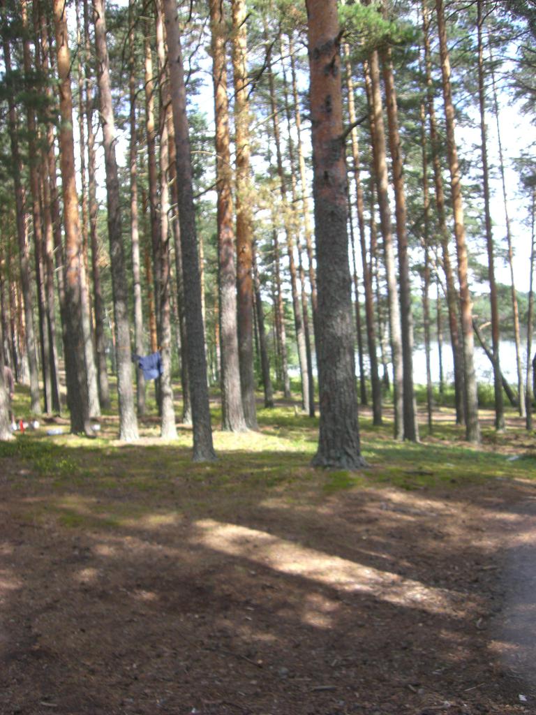 cimg6208