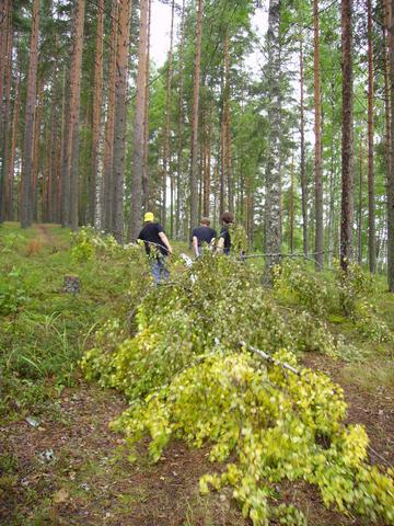 pict0125