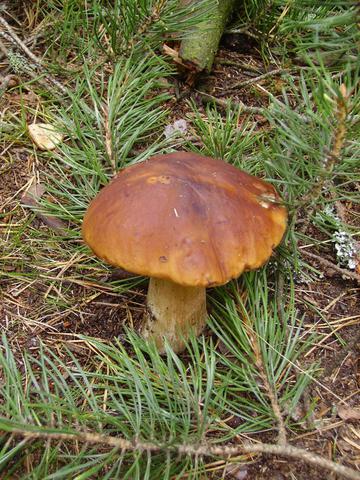 pict0136