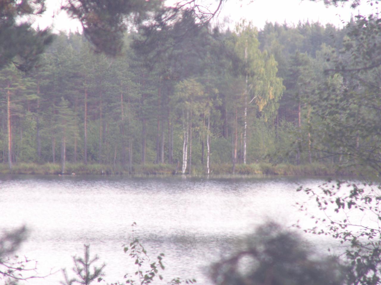 PICT0015